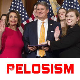 VOTE OUT LIZZY FLETCHER TX 7th Congressional District
